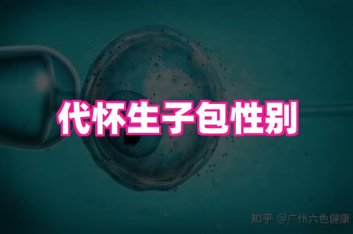 nub孕网 2