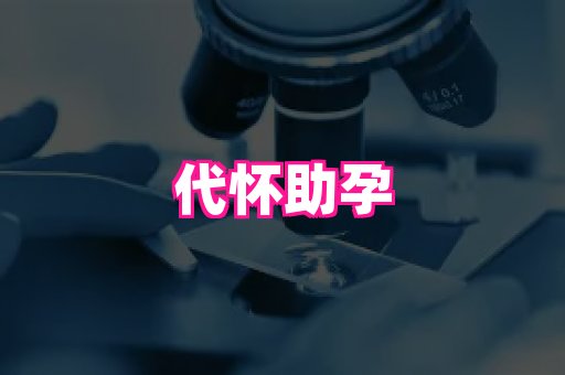 nub孕网 3